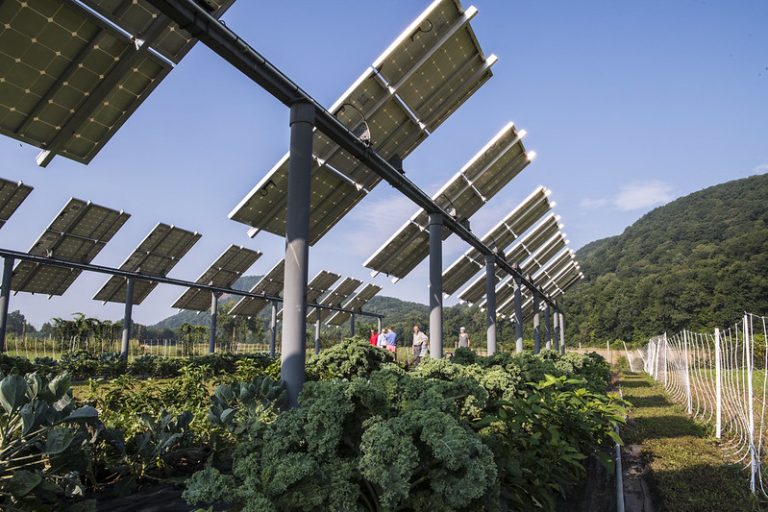 Energia verde și agricultura