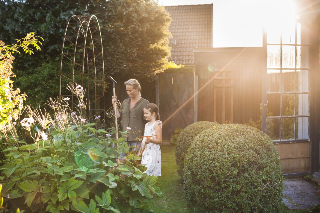 Planificarea grădinii. Cum obții o grădină de vis ghid complet Planificarea grădinii. Cum obții o grădină de vis ghid complet