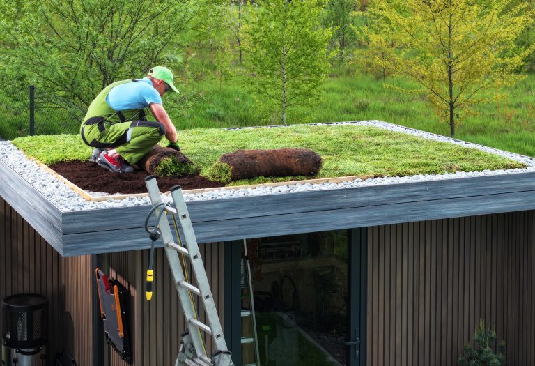 Acoperișul verde. Beneficiile acoperișului verde confort, economie și durabilitate