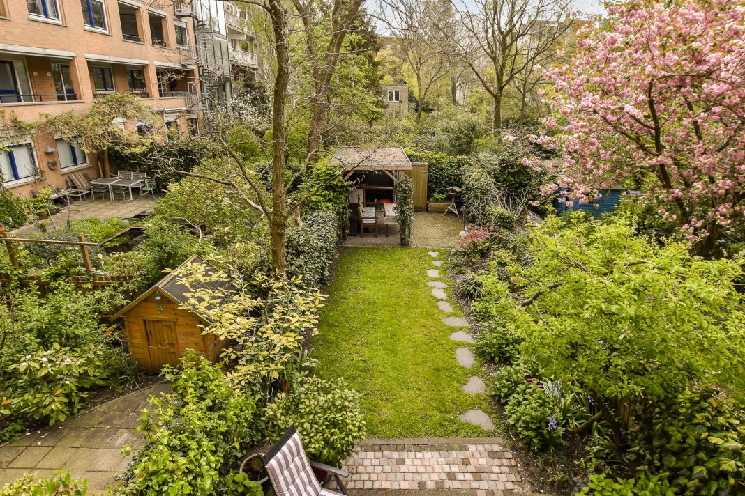 Amenajare grădină modernă cu atmosferă de vacanță