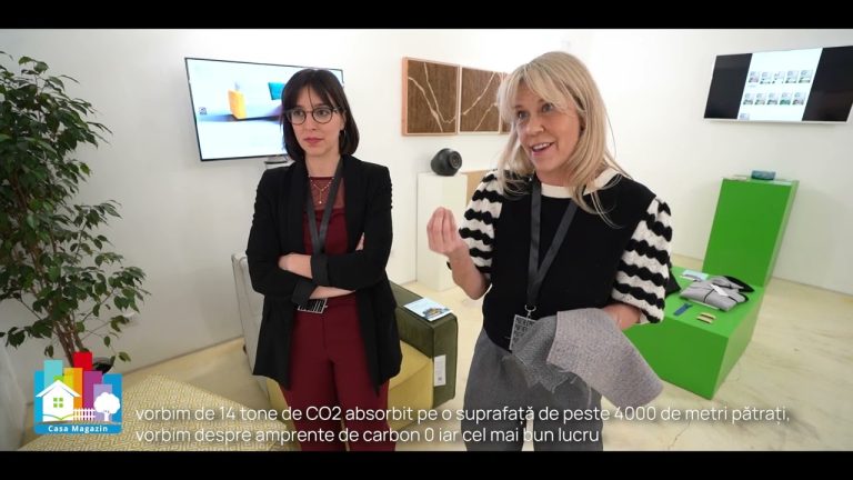 De ce cânepa este una dintre cele mai importante materii prime. Ce rol are în producția de mobilier/VIDEO