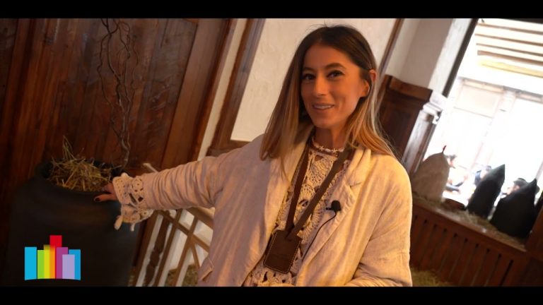 Design interior vs decorare: diferența care schimbă percepția asupra spațiului/VIDEO Design interior vs decorare: diferența care schimbă percepția asupra spațiului/VIDEO