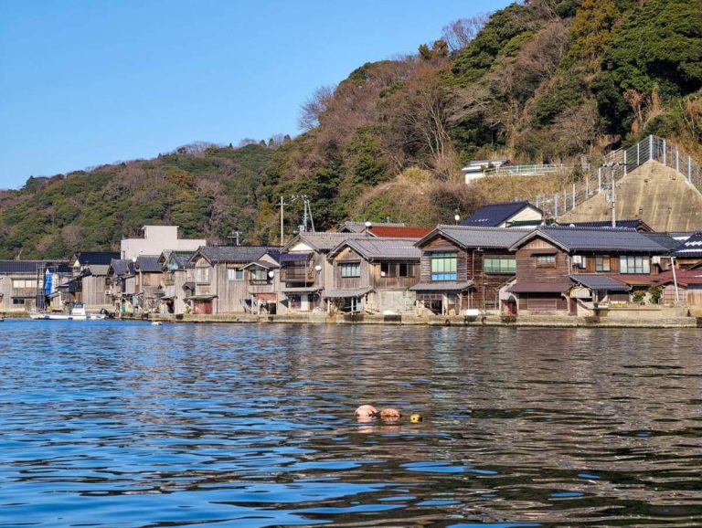 Fenomenul caselor abandonate: lecțiile Japoniei pentru România