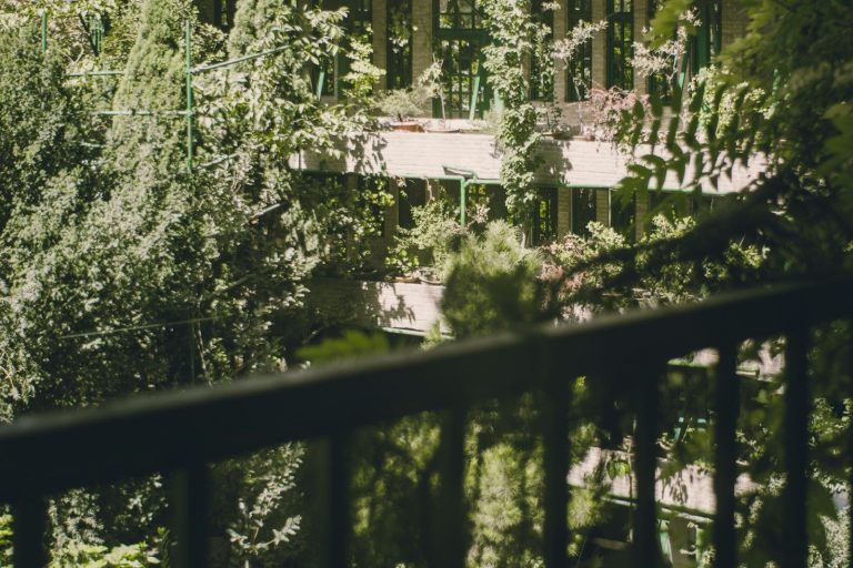 O clădire cu multă verdeață datorită grădinilor pe verticală în balcoane și terase