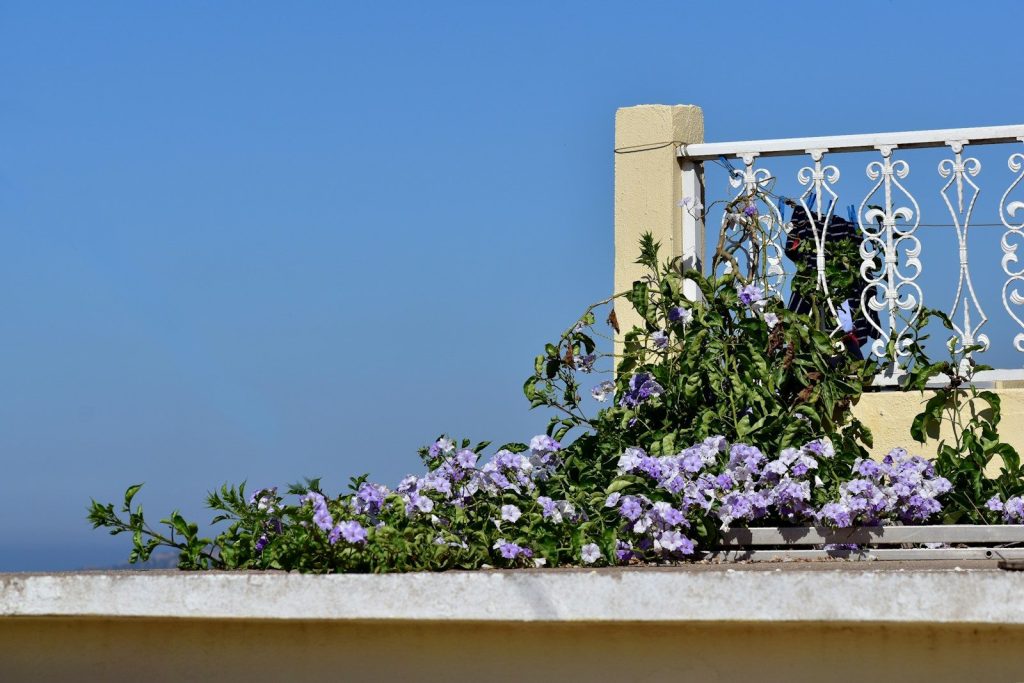 a balcony with purple flowers and a wrought iron railing