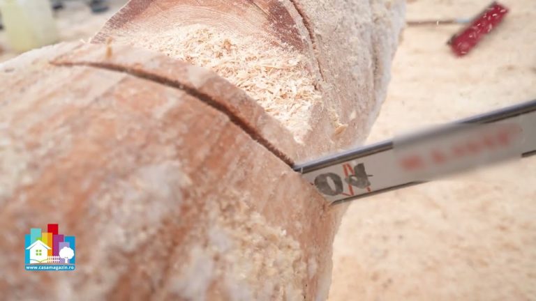 Case din lemn rotund: meșteșug tradițional sau tehnologie performantă?/VIDEO