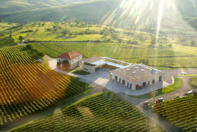 Enoturismul ajunge în România. Gura Vadului – prima stațiune românească dedicată turismului viticol Enoturismul ajunge în România. Gura Vadului – prima stațiune românească dedicată turismului viticol