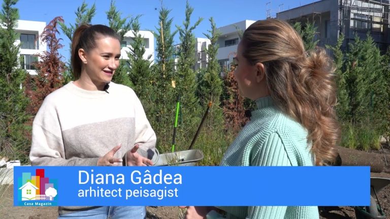 Ghid practic pentru amenajarea unei grădini – Episodul 4. Etapele esențiale de plantare și gazonare a aleilor/VIDEO Ghid practic pentru amenajarea unei grădini – Episodul 4. Etapele esențiale de plantare și gazonare a aleilor/VIDEO